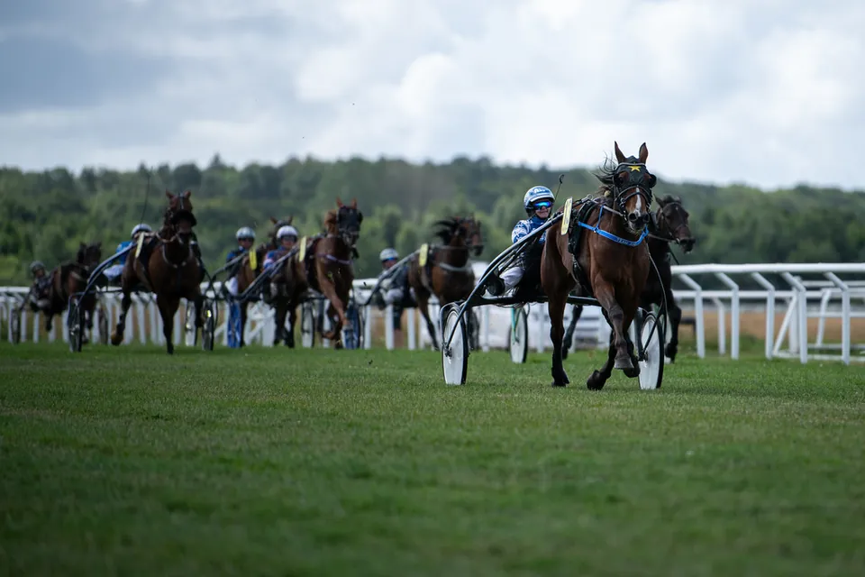 Travlopp på gräs under tävlingsdagen på Göteborg Galopp den 26 juli 2026.