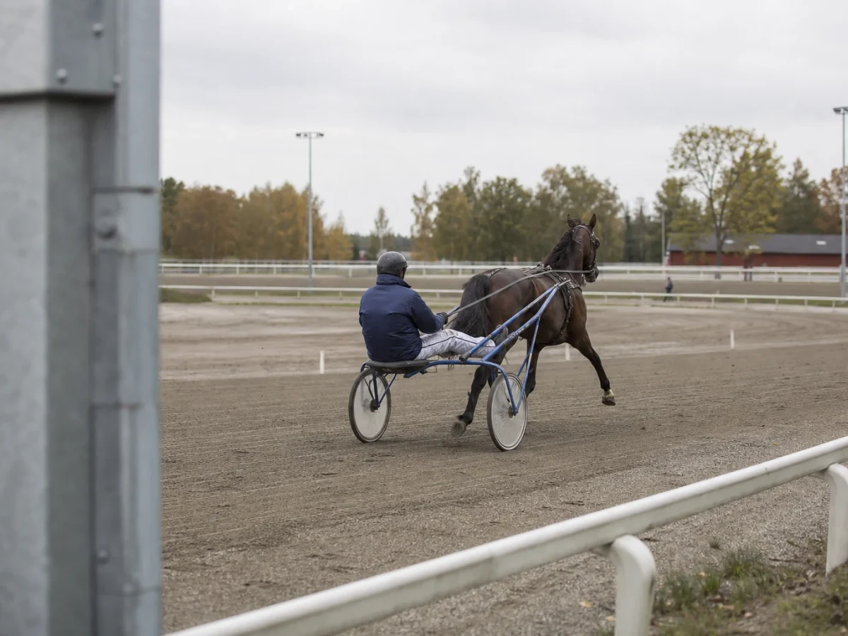 Illustrationsbild fran en anonym travmiljo med sulky och travare.