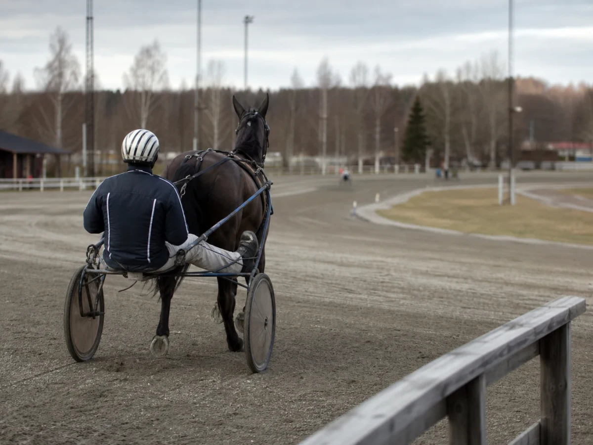 Illustrationsbild fran en anonym travmiljo med sulky och travare.