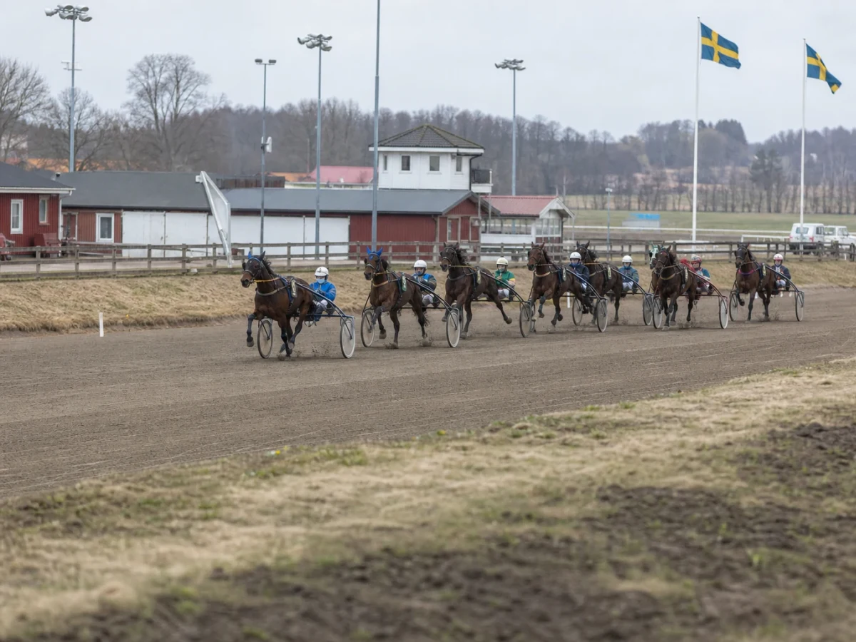 Illustrationsbild fran en anonym travmiljo med sulky och travare.