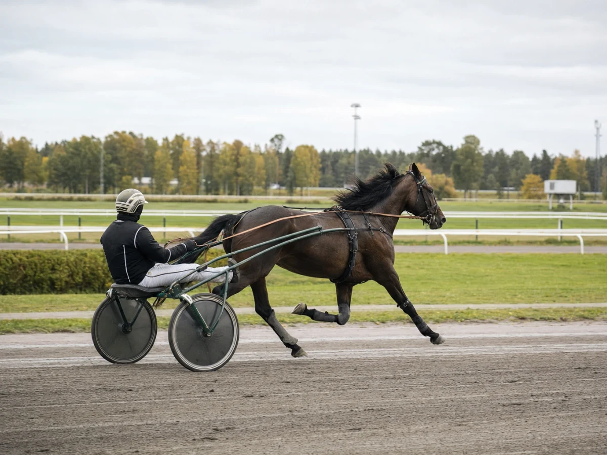 Travhästar med kuskar i sulky som spurtar på upploppet under ett internationellt lopp.